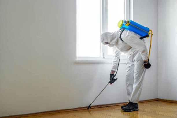 Pest Control Cost in Tulsa, OK