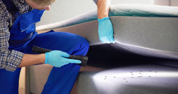 Best Best Pest Control Companies  in Tulsa, OK